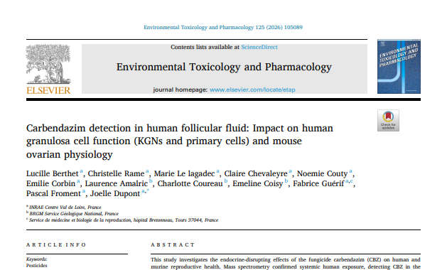 Lucille Berthet, doctorante du PEPR SAFE, publie un article dans Environmental Toxicology and Pharmacology.